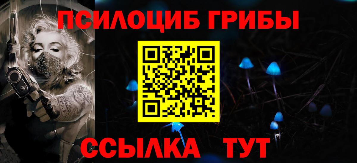 Волжский  Галлюциногенные грибы мицелий  Вход с VPN 