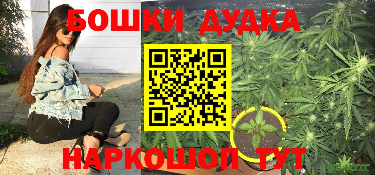 Каннабис OG Kush Волжский